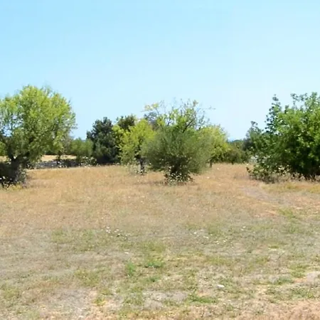 137 Son Bernat Etv9442 By Mallorca Charme Holiday home
